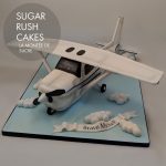Cessna 182 airplane cake